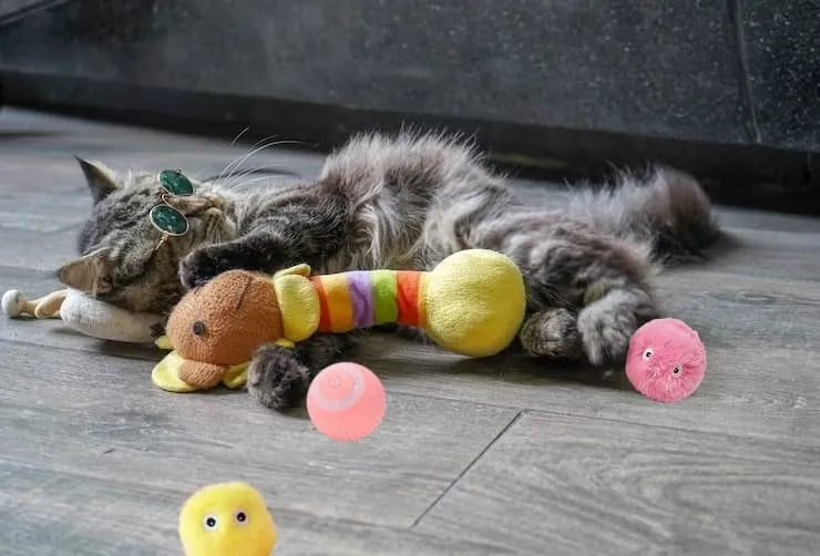 Pisicile, limbajul pisicilor si 9 gesturi prin care ne transmit ceva