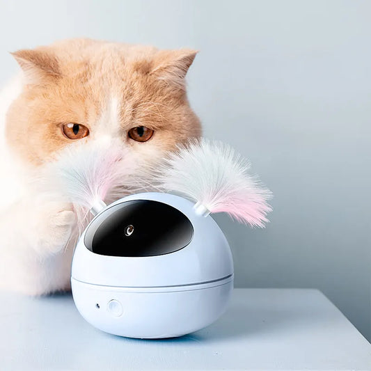 Jucarie Pisica, Jucarie interactiva pentru pisici, Jucarie Cu Laser Miscator