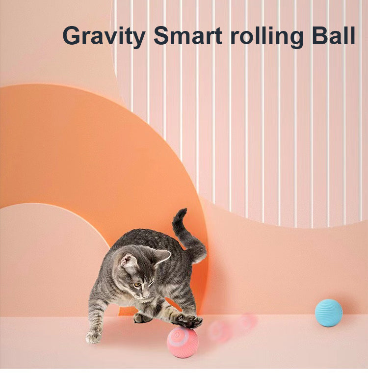 Jucarie bila minge pet gravity inteligenta se misca singura reincarcabila albastra pisiceala.ro