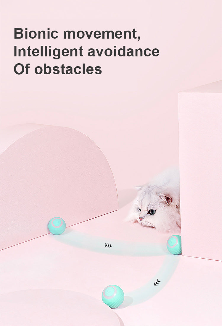Jucarie bila minge pet gravity inteligenta se misca singura reincarcabila albastra pisiceala.ro