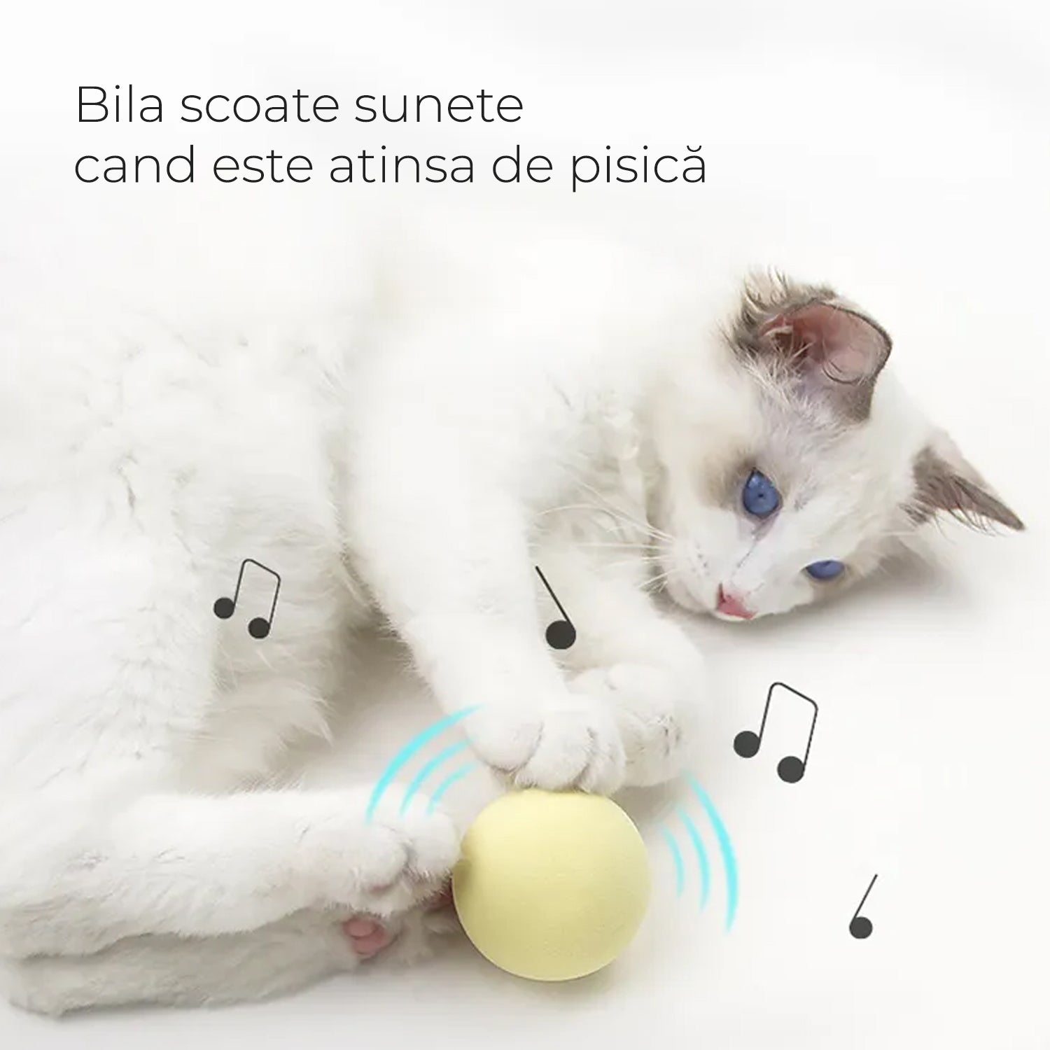 jucarie cu sunete pentru pisici - pisiceala.ro, Jucarie sunete pisici, Jucarie Pisici cu sunet