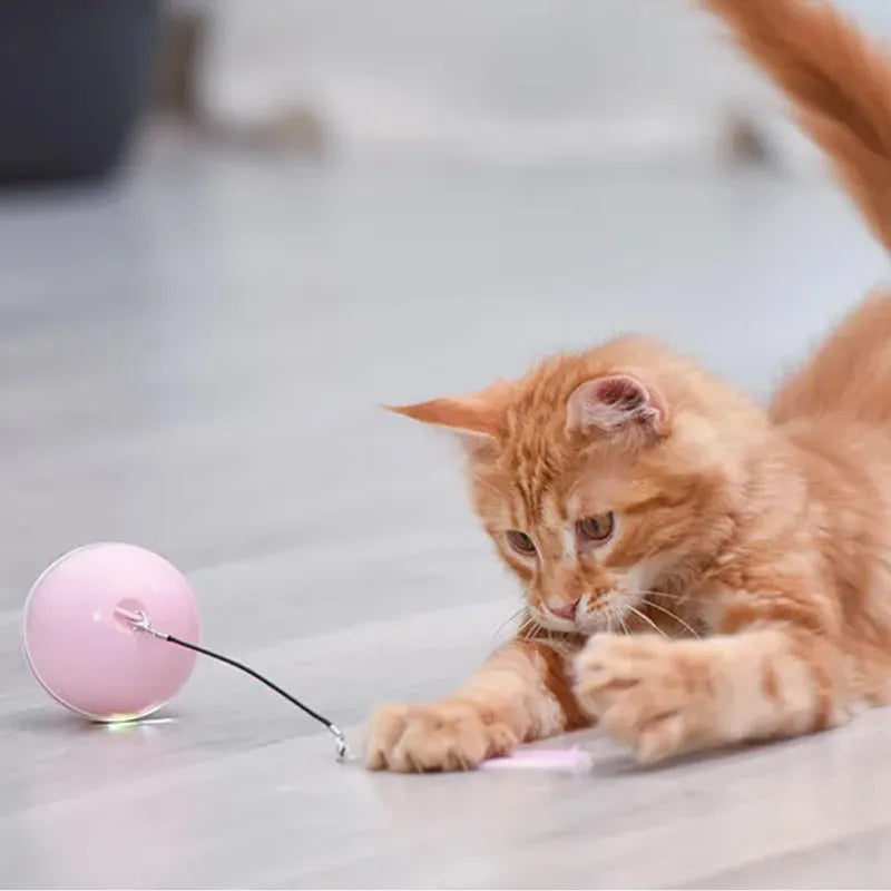 Jucarie Smart Ball Reincarcabila, cu accesoriu, Jucarie interactiva Pisici