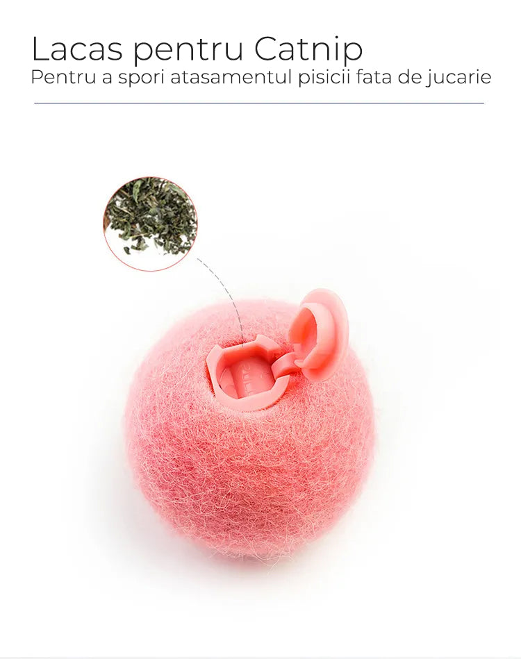 jucarie cu sunete pentru pisici - pisiceala.ro, Jucarie sunete pisici, Jucarie Pisici cu sunet